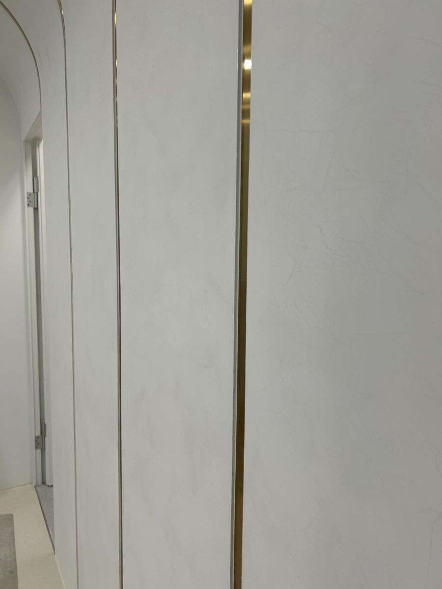 忠孝東路寶格麗31樓辦公室-特殊球-馬來漆白色主牆